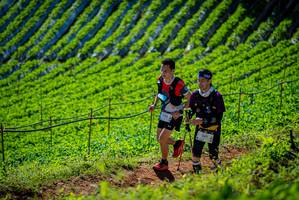 BIB: 3105, 
                            <button type="button" onclick="openModal(19162256)" class="btn btn-primary btn-sm float-right btn-popup" data-toggle="modal" data-target=".modal-high-quality">
                        <i class="fas fa-shopping-cart"></i> Add to Cart
                    </button>
                                            <button type="button" onclick="isThisMe(19162256, true)" class="btn btn-success btn-sm float-right btn-popup btn-isme hidden" data-toggle="tooltip" data-placement="bottom" title="นี่คือรูปของคุณใช่ไหม คลิกที่นี่เพื่อเอาเข้าอัลบั้ม">
                        <i class="fas fa-plus"></i> Add to album
                    </button>
                    <button type="button" onclick="isThisMe(19162256, false)" class="btn btn-warning btn-sm float-right btn-popup btn-isnotme hidden">
                        <i class="fas fa-ban"></i> Remove from album
                    </button>